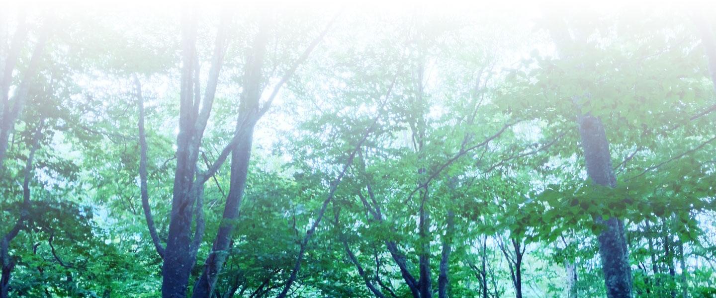 Main Visual
